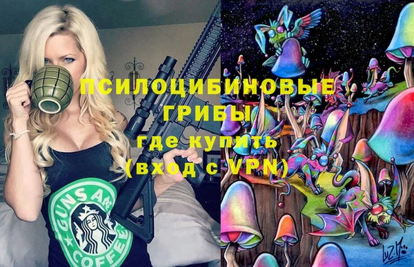 PSILOCYBIN Пролетарск