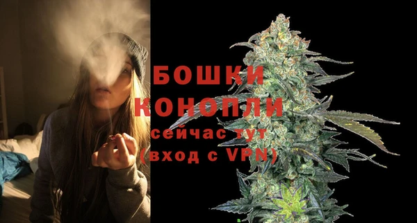 сатива Покровск
